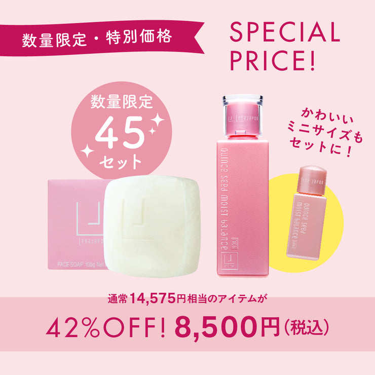 碧りいか特別セット