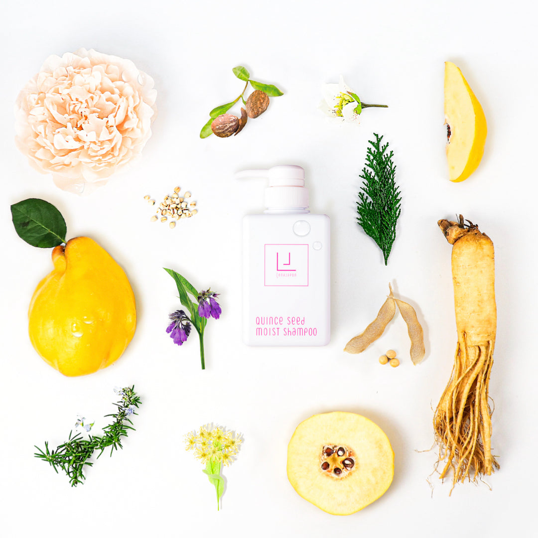 LJ モイストシャンプー 2本セット – レナジャポン【公式】